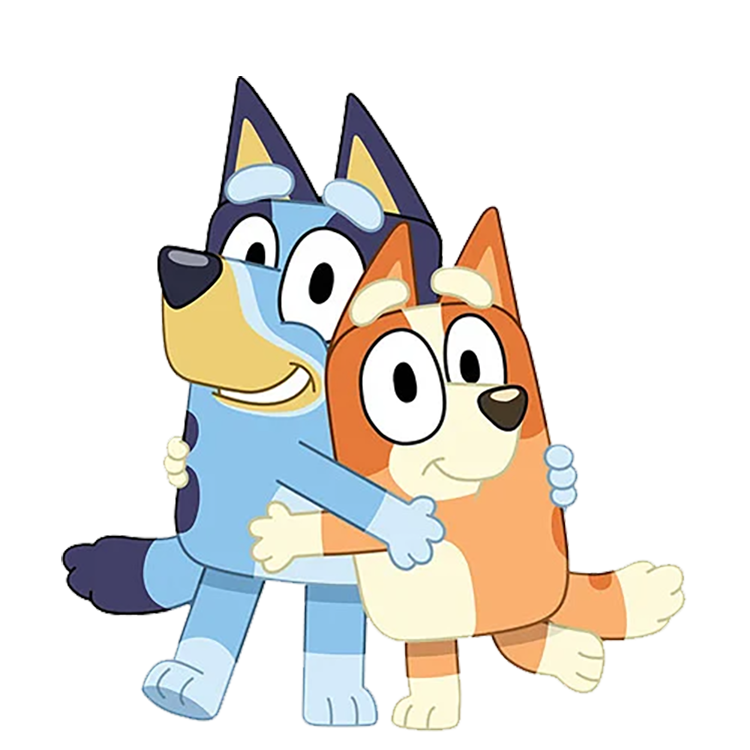 Bluey and Bingo