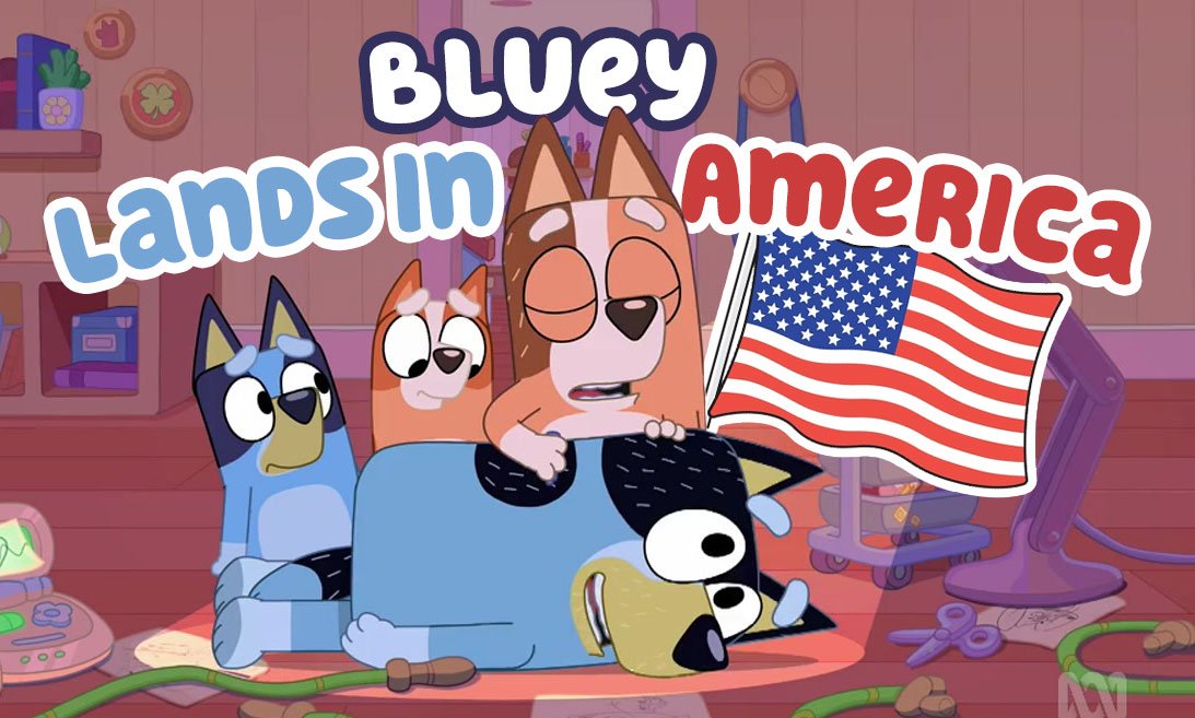 Bluey lands in America