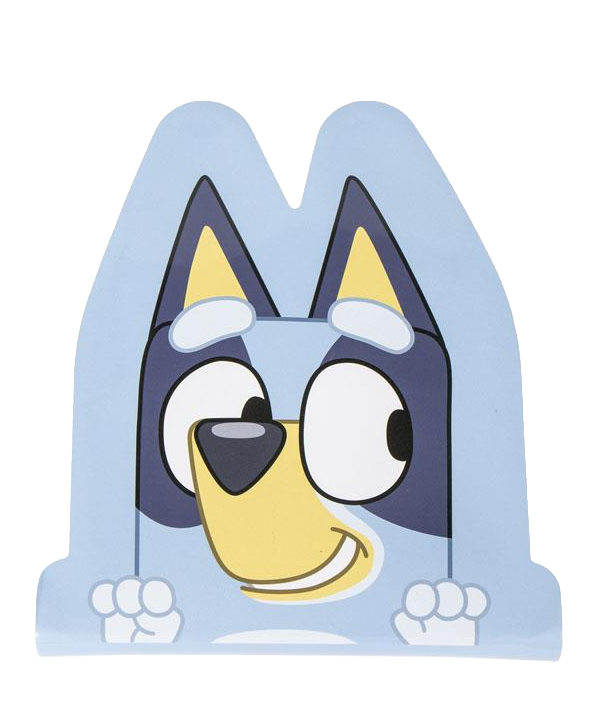 Bluey Stationery